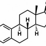 Study: Competition between Mother and Daughter-in-Law Reason for ÔThe MenopauseŐ
