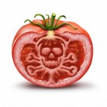 Fresh Produce Contaminated by Synthetic and Human Hormones