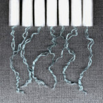 Periods Blamed for Plumbing Pains